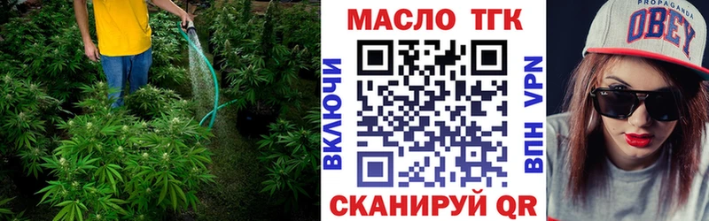 Купить где  Краснозаводск  ТГК концентрат 