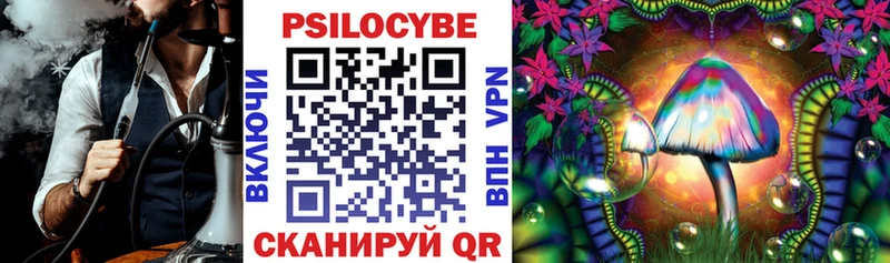Купить закладки  Краснозаводск  Псилоцибиновые грибы Psilocybine cubensis 